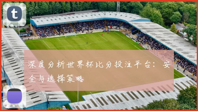 深度分析世界杯比分投注平台：安全与选择策略