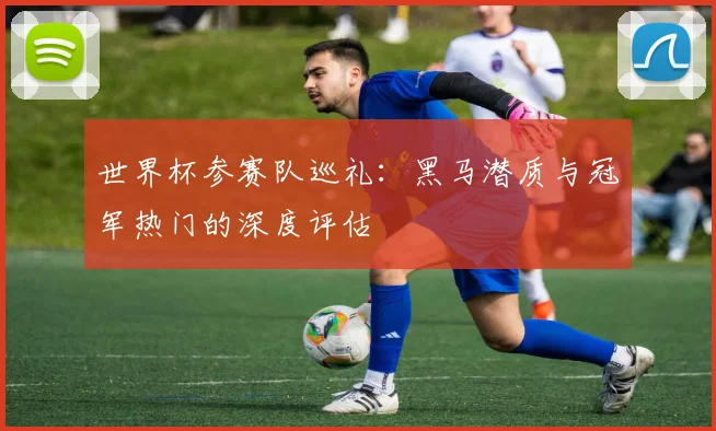 世界杯参赛队巡礼：黑马潜质与冠军热门的深度评估