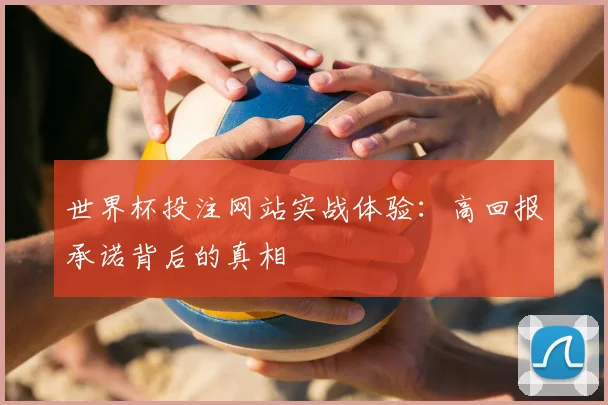 世界杯投注网站实战体验：高回报承诺背后的真相