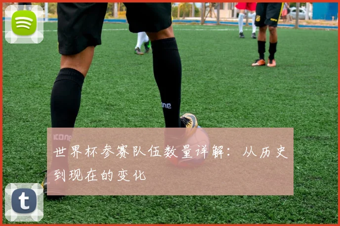 世界杯参赛队伍数量详解：从历史到现在的变化