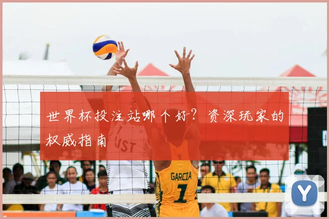 世界杯投注站哪个好？资深玩家的权威指南