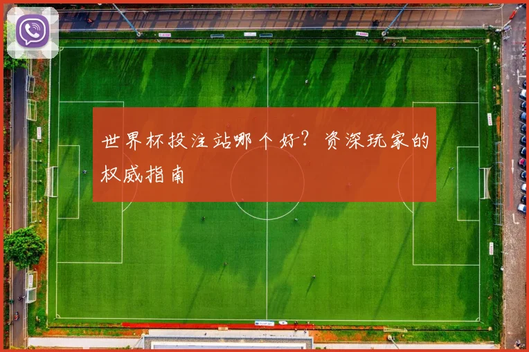 世界杯投注站哪个好？资深玩家的权威指南