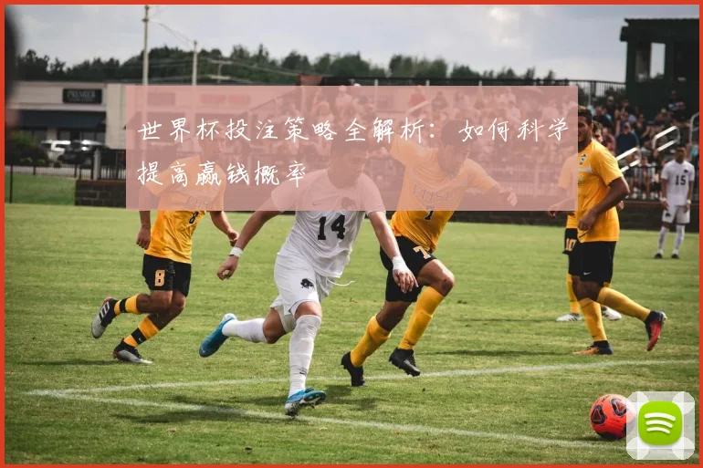 世界杯投注策略全解析：如何科学提高赢钱概率